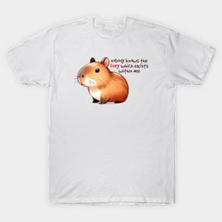 Nobody Knows The Fury Which Exists Within Me T-Shirt